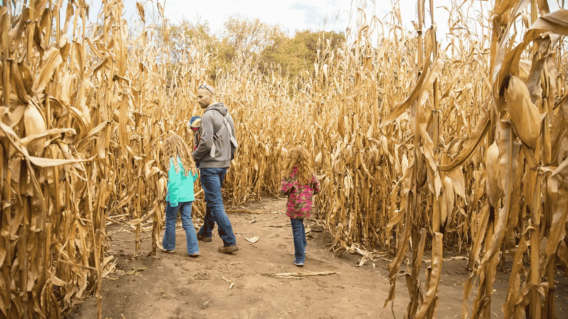 problemamegoldas header