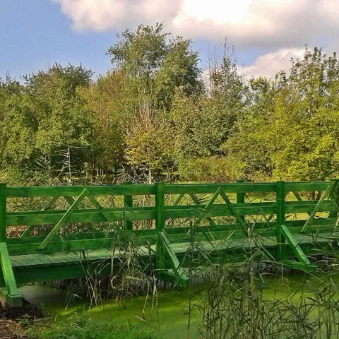 zolhidhalasfoto